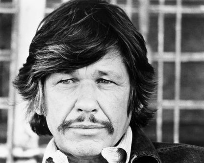 Mr Majestyk 1974 Charles Bronson