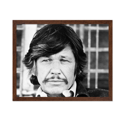 Mr Majestyk 1974 Charles Bronson