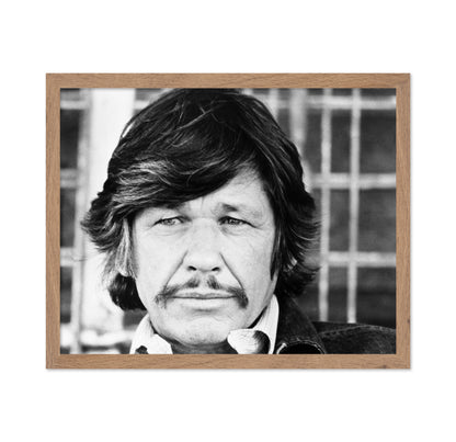 Mr Majestyk 1974 Charles Bronson
