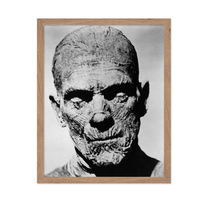 The Mummy 1932 Boris Karloff No3