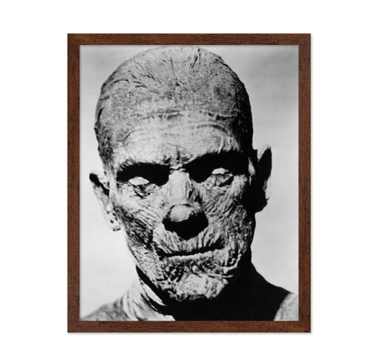 The Mummy 1932 Boris Karloff No3