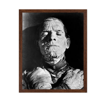 The Mummy 1932 Boris Karloff No1