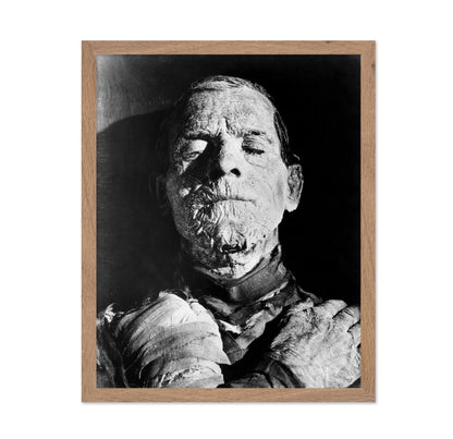 The Mummy 1932 Boris Karloff No1