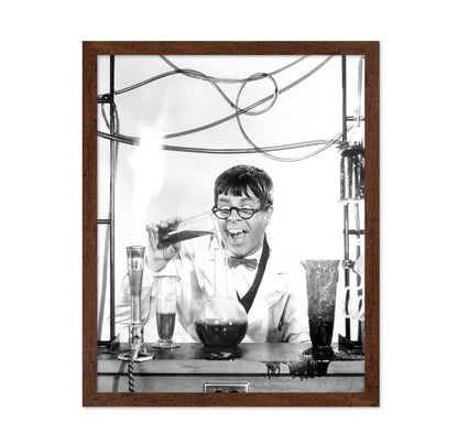 The Nutty Professor 1963 Jerry Lewis No1