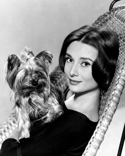 The Nun's Story 1959 Audrey Hepburn No2