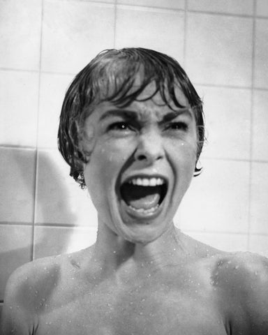 Psycho 1960 Janet Leigh No2
