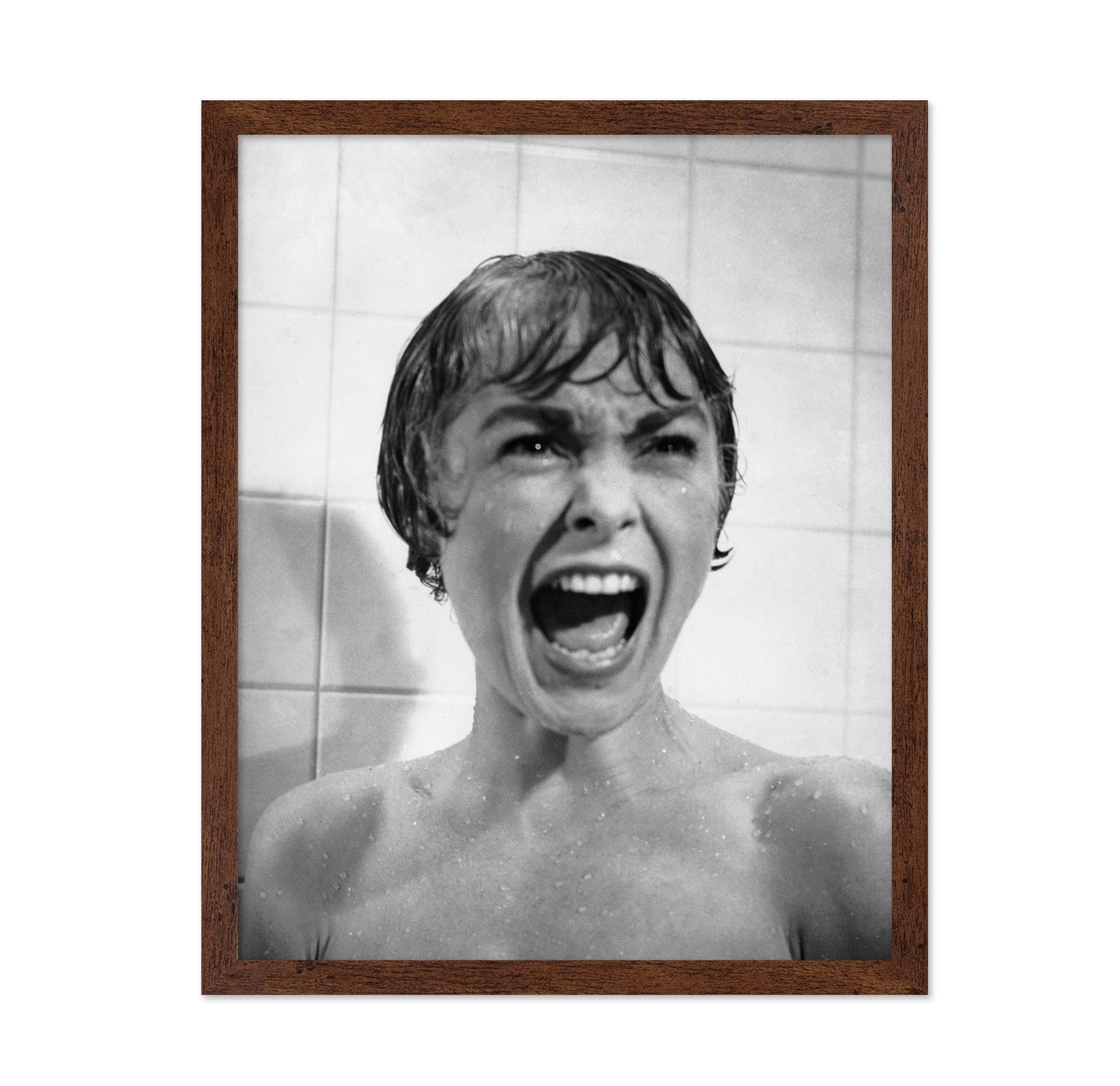 Psycho 1960 Janet Leigh No2