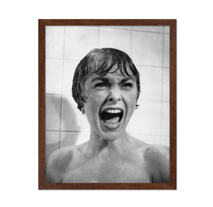 Psycho 1960 Janet Leigh No2