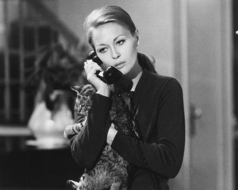 Puzzle Of A Downfall Child 1970 Faye Dunaway