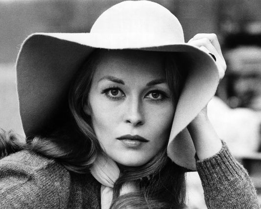 Puzzle of A Downfall Child 1970 Faye Dunaway
