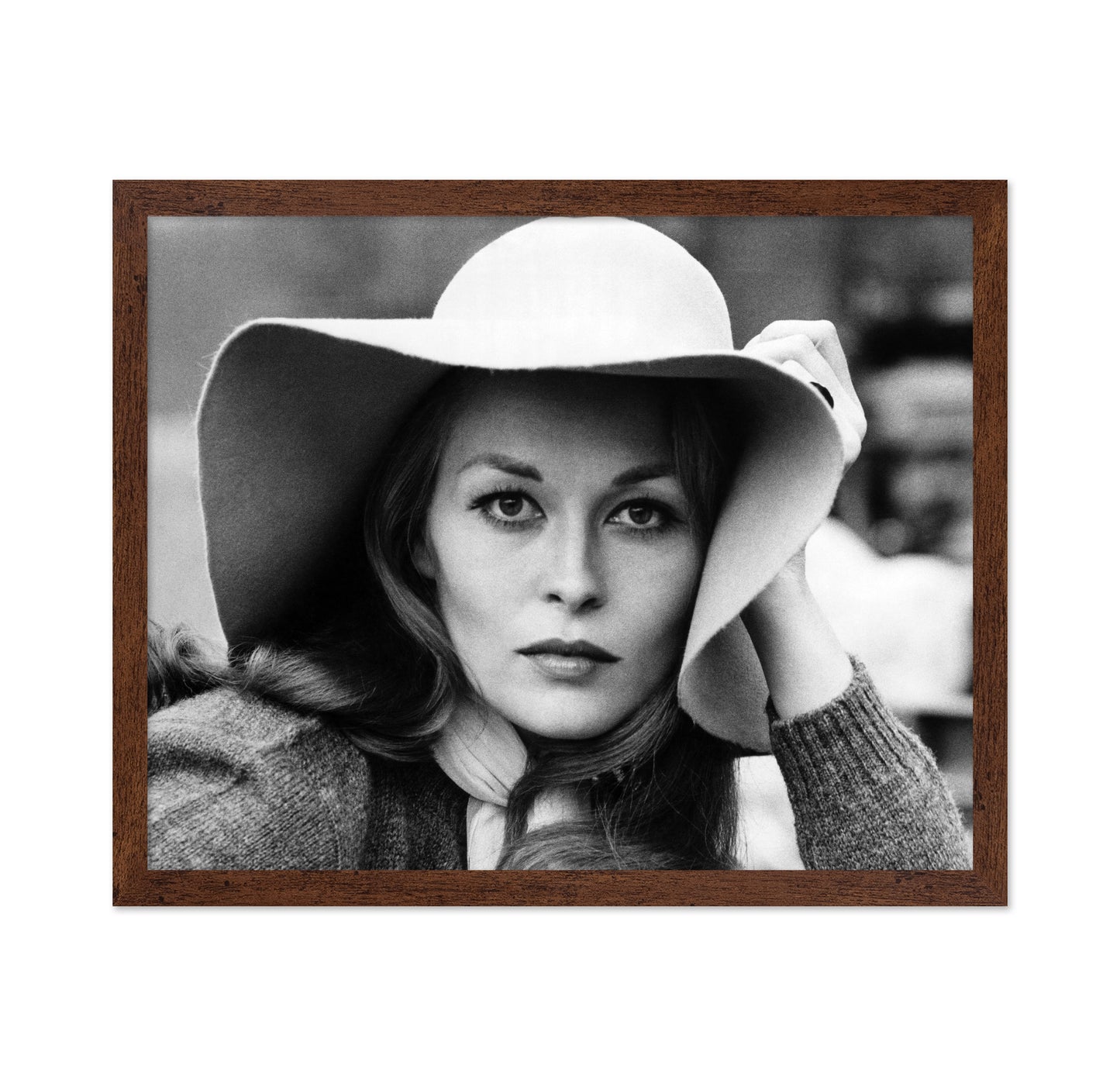 Puzzle of A Downfall Child 1970 Faye Dunaway