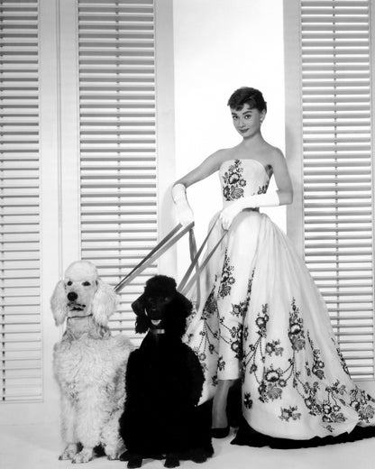 Sabrina 1954 Audrey Hepburn No9