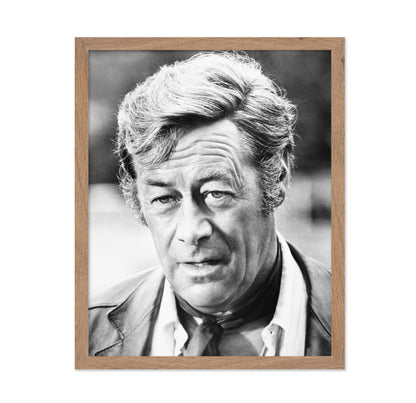 Staircase 1969 Rex Harrison No1
