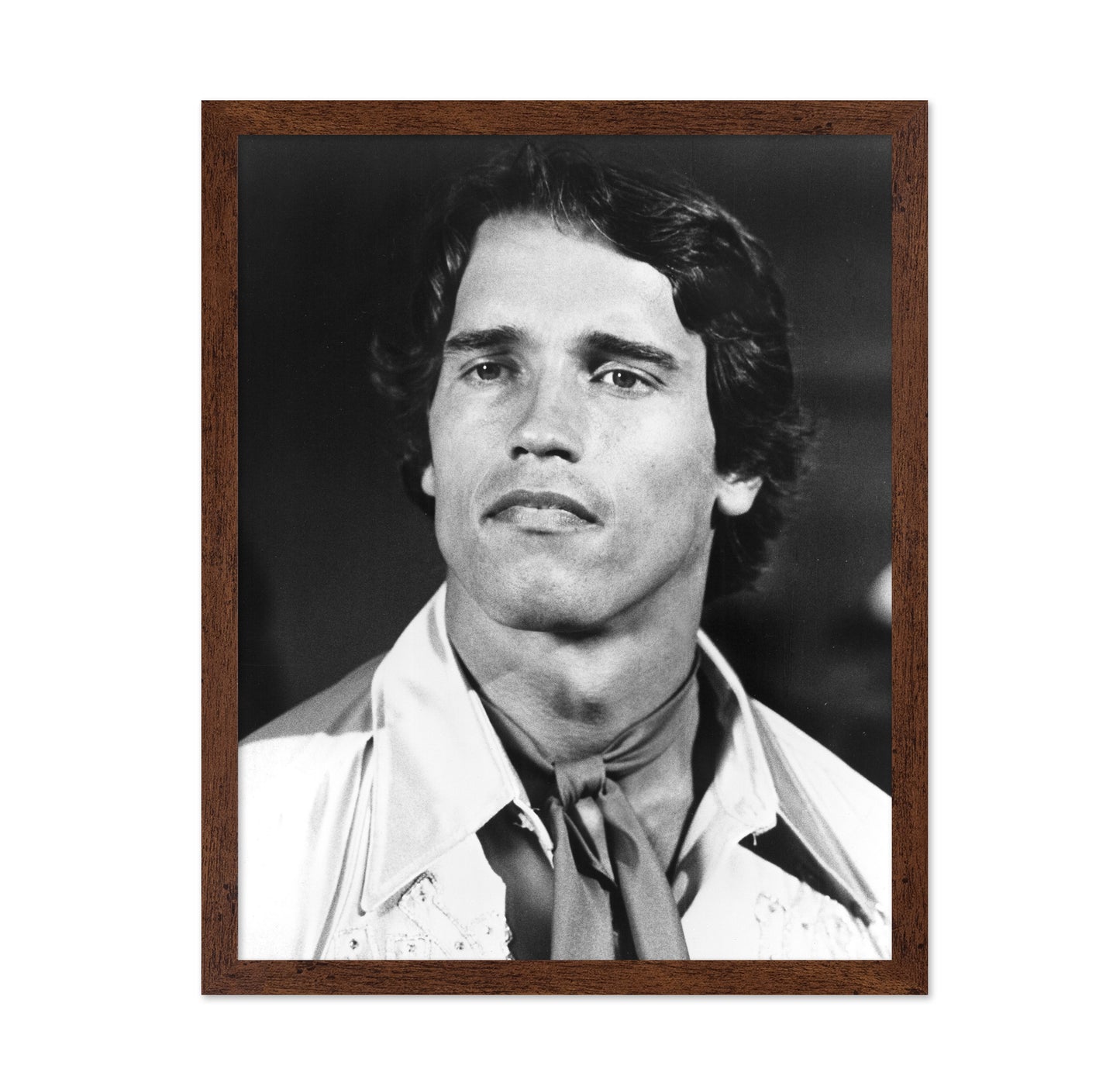 Stay Hungry 1976 Arnold Schwarzenegger No2