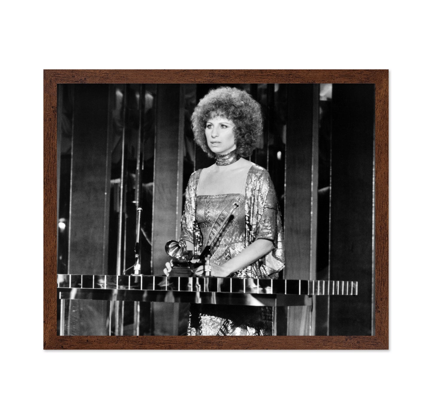A Star Is Born 1976 Barbra Streisand No5