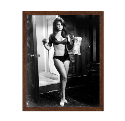 The Swinger 1966 Ann-Margret No2