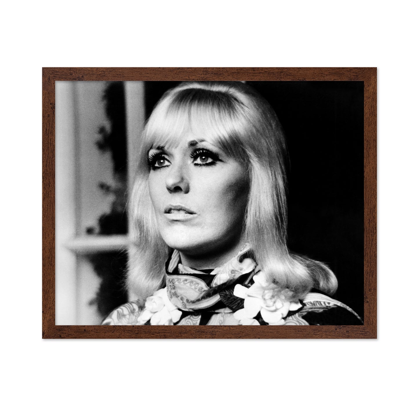 Tales That Witness Madness 1973 Kim Novak