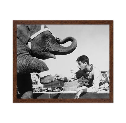 Three Ring Circus 1954 Jerry Lewis