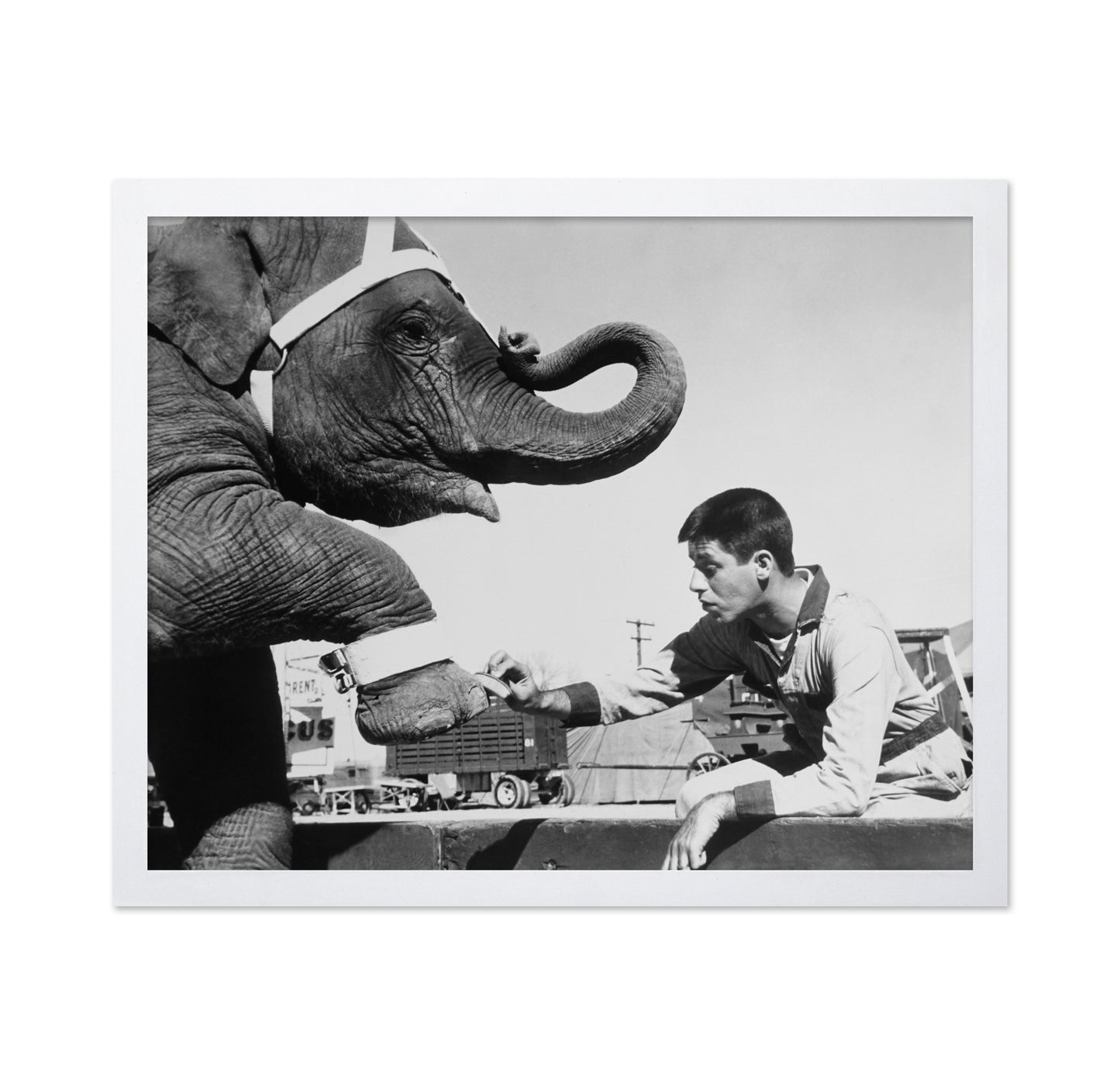 Three Ring Circus 1954 Jerry Lewis
