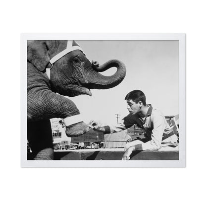 Three Ring Circus 1954 Jerry Lewis