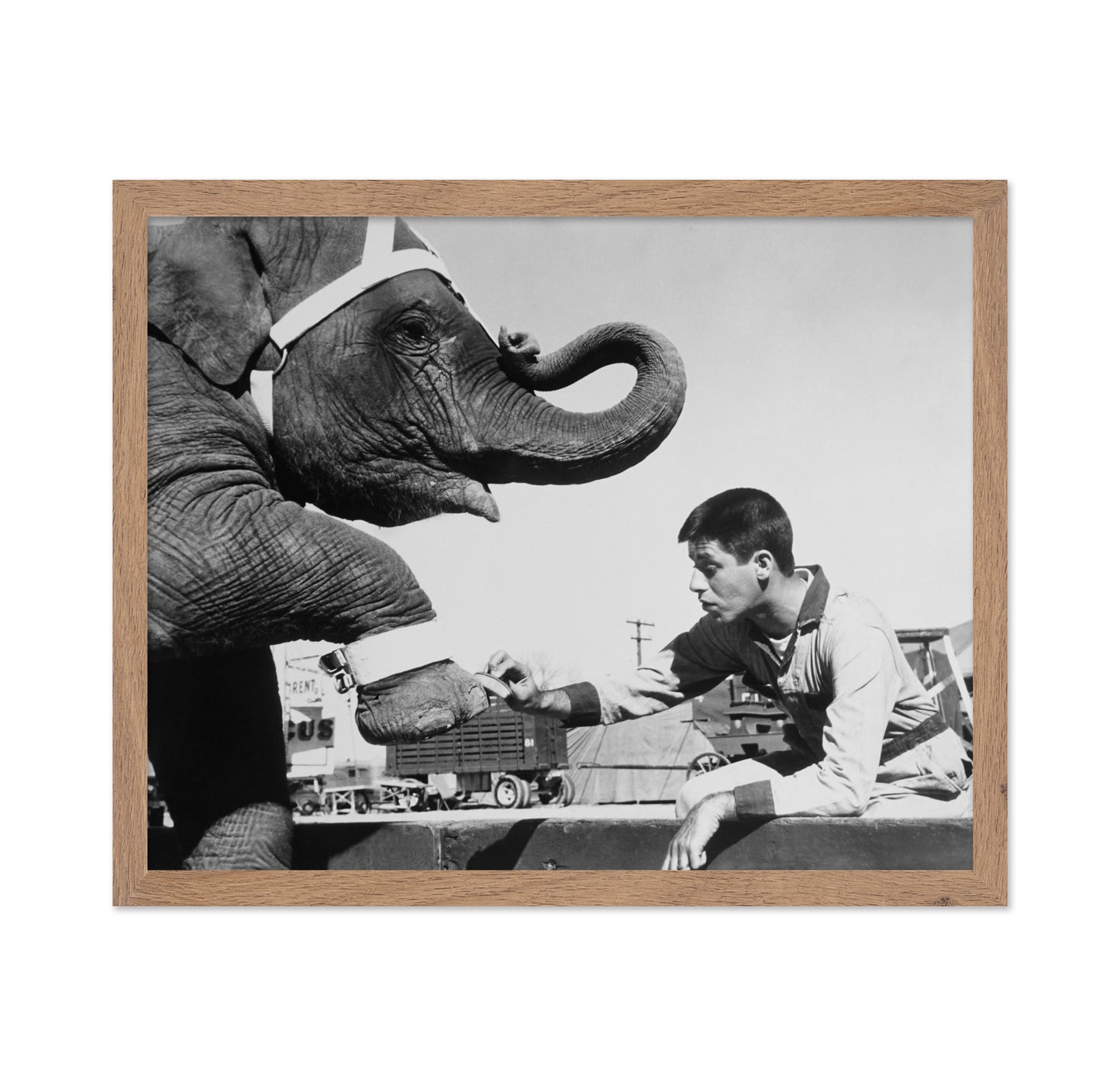 Three Ring Circus 1954 Jerry Lewis