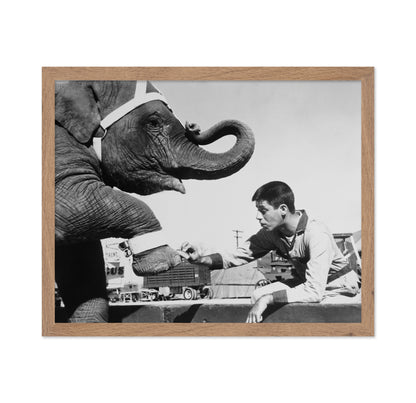 Three Ring Circus 1954 Jerry Lewis