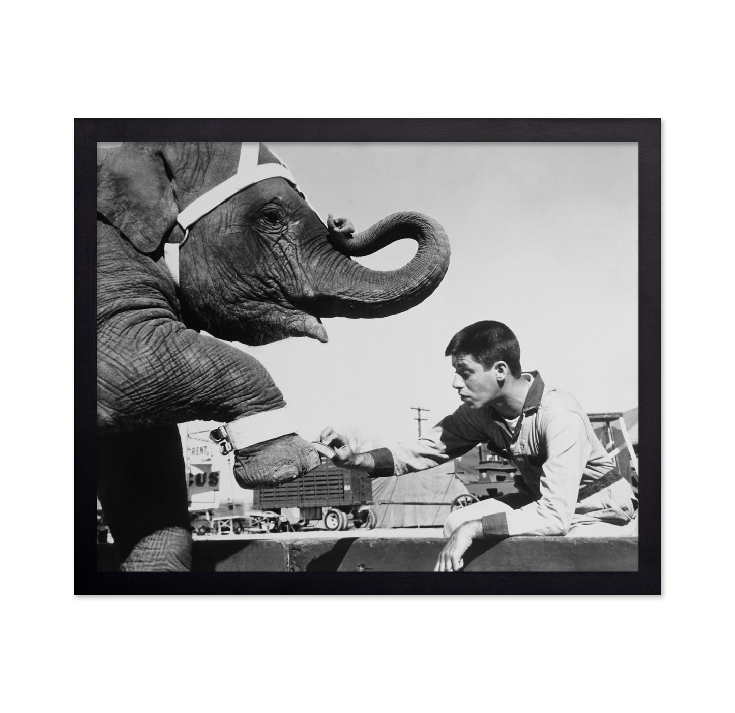 Three Ring Circus 1954 Jerry Lewis