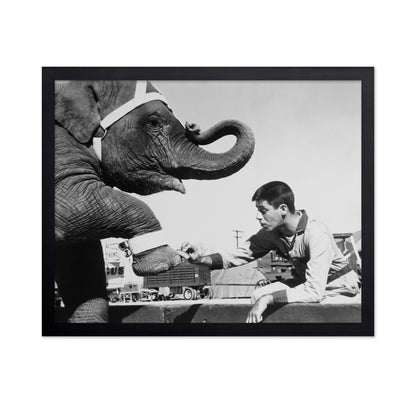 Three Ring Circus 1954 Jerry Lewis