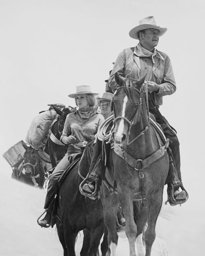 The Train Robbers 1973 John Wayne