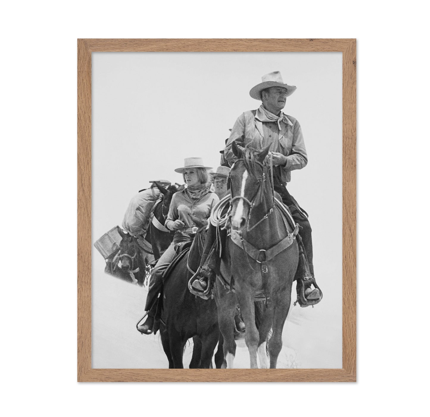 The Train Robbers 1973 John Wayne