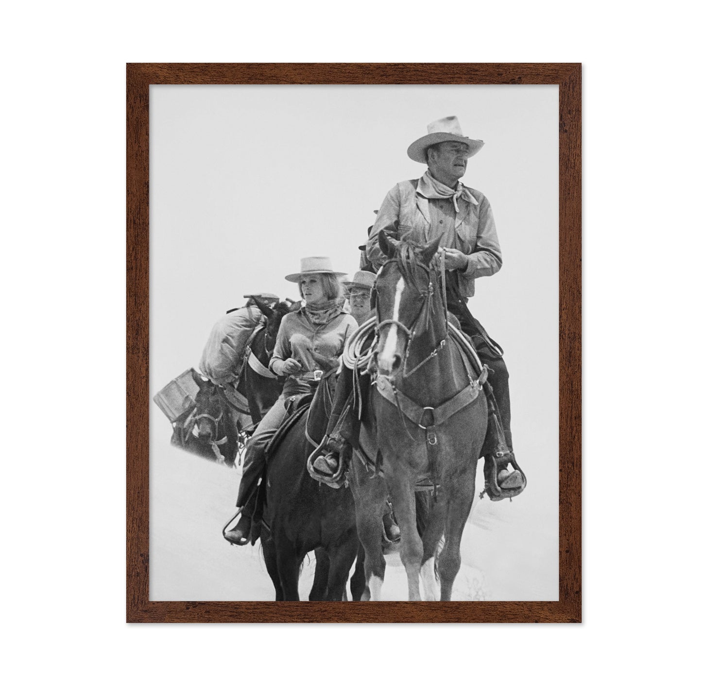 The Train Robbers 1973 John Wayne