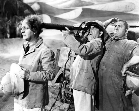 We Want Our Mummy 1939 Larry Fine
