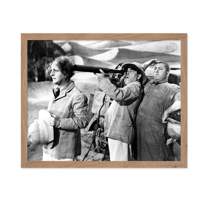 We Want Our Mummy 1939 Larry Fine
