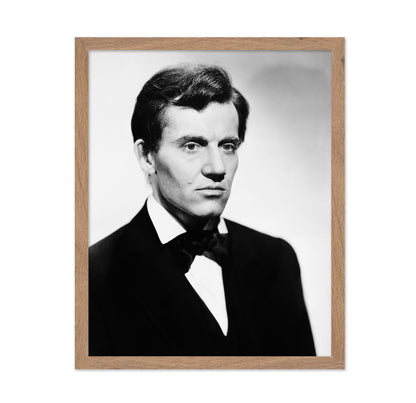 Young Mr. Lincoln 1939 Henry Fonda No1