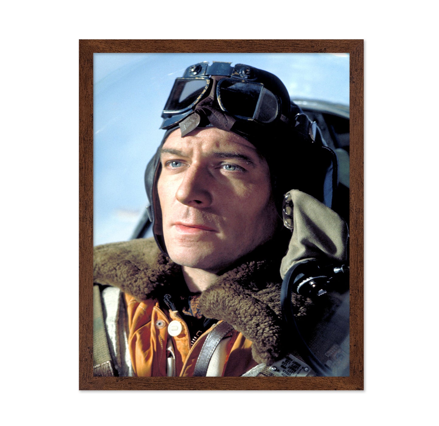 The Battle of Britain 1969 Christopher Plummer