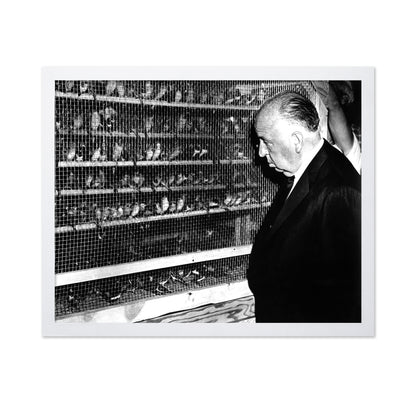 The Birds 1963 Alfred Hitchcock