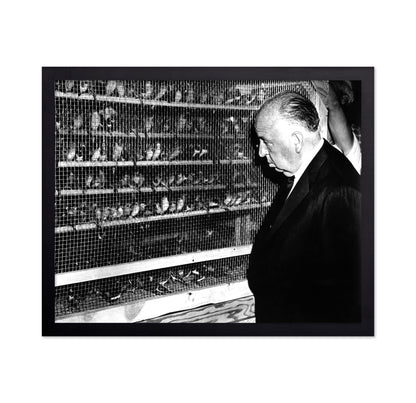 The Birds 1963 Alfred Hitchcock