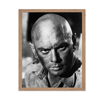 Cast a Giant Shadow 1966 Yul Brynner No1