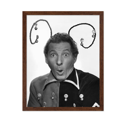 The Court Jester 1955 Danny Kaye