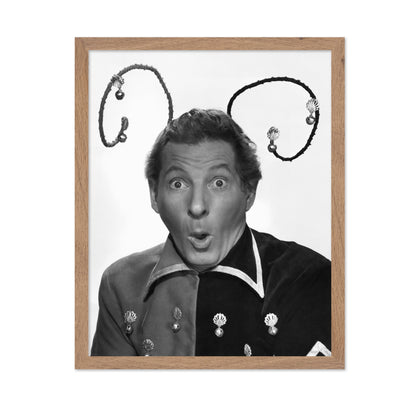 The Court Jester 1955 Danny Kaye