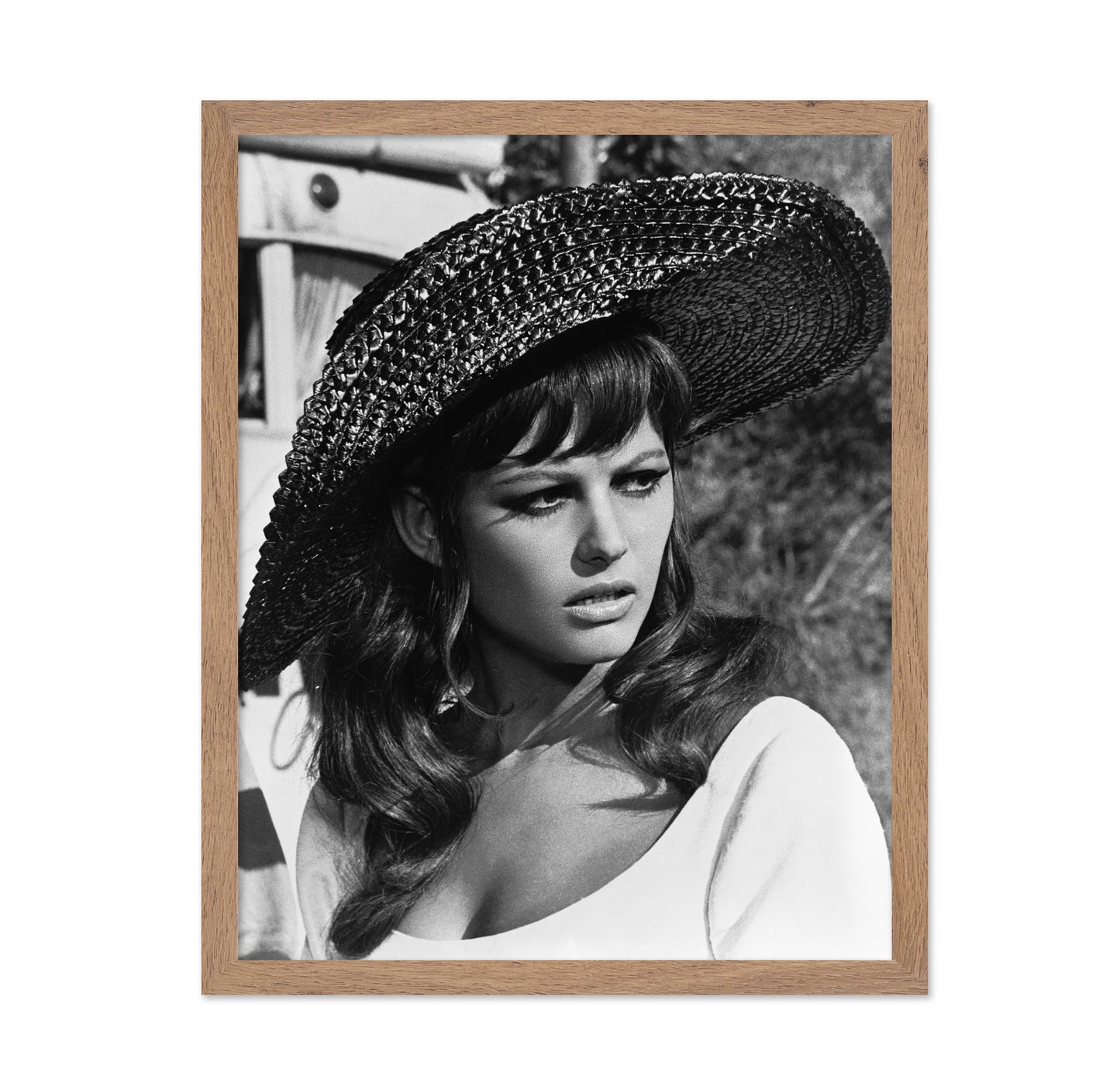 Don't Make Waves 1967 Claudia Cardinale