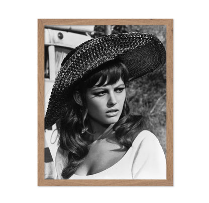 Don't Make Waves 1967 Claudia Cardinale