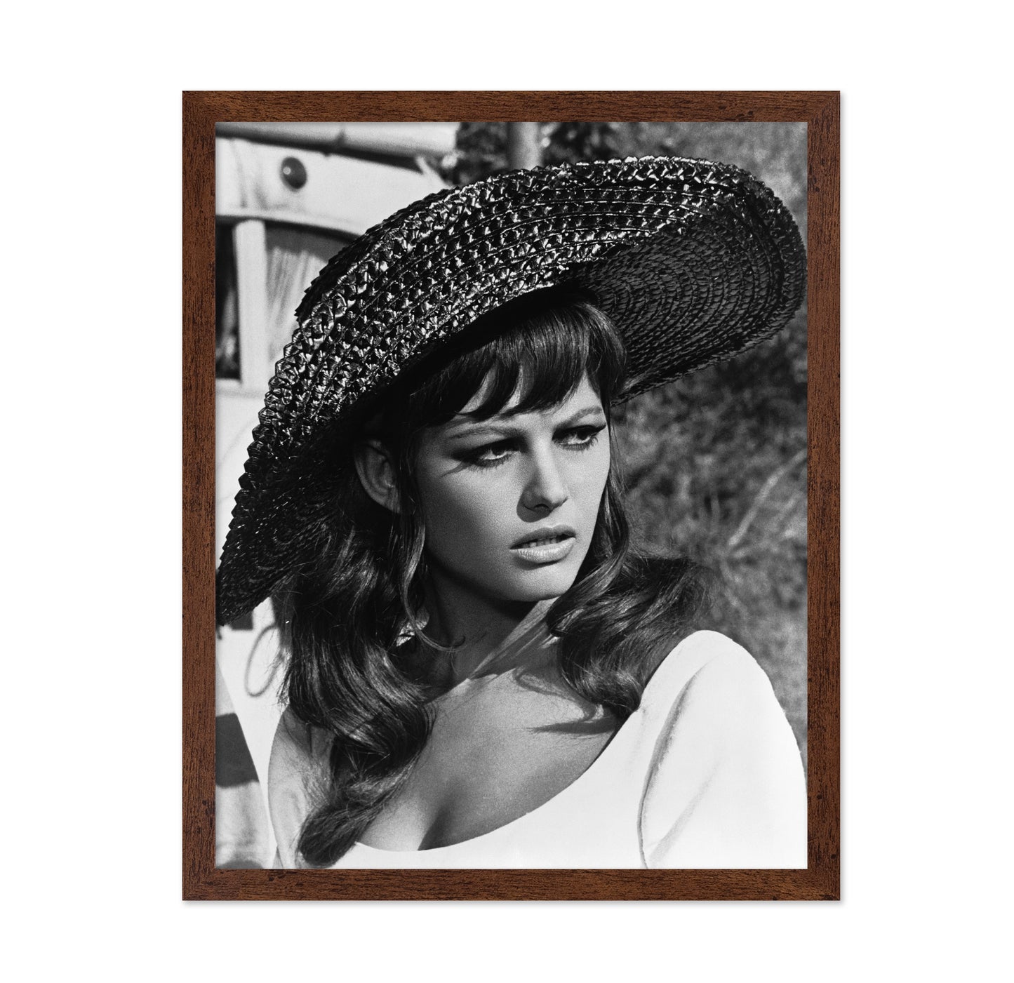 Don't Make Waves 1967 Claudia Cardinale
