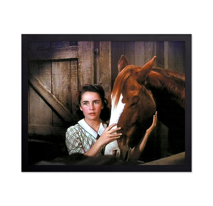 National Velvet 1944 Elizabeth Taylor