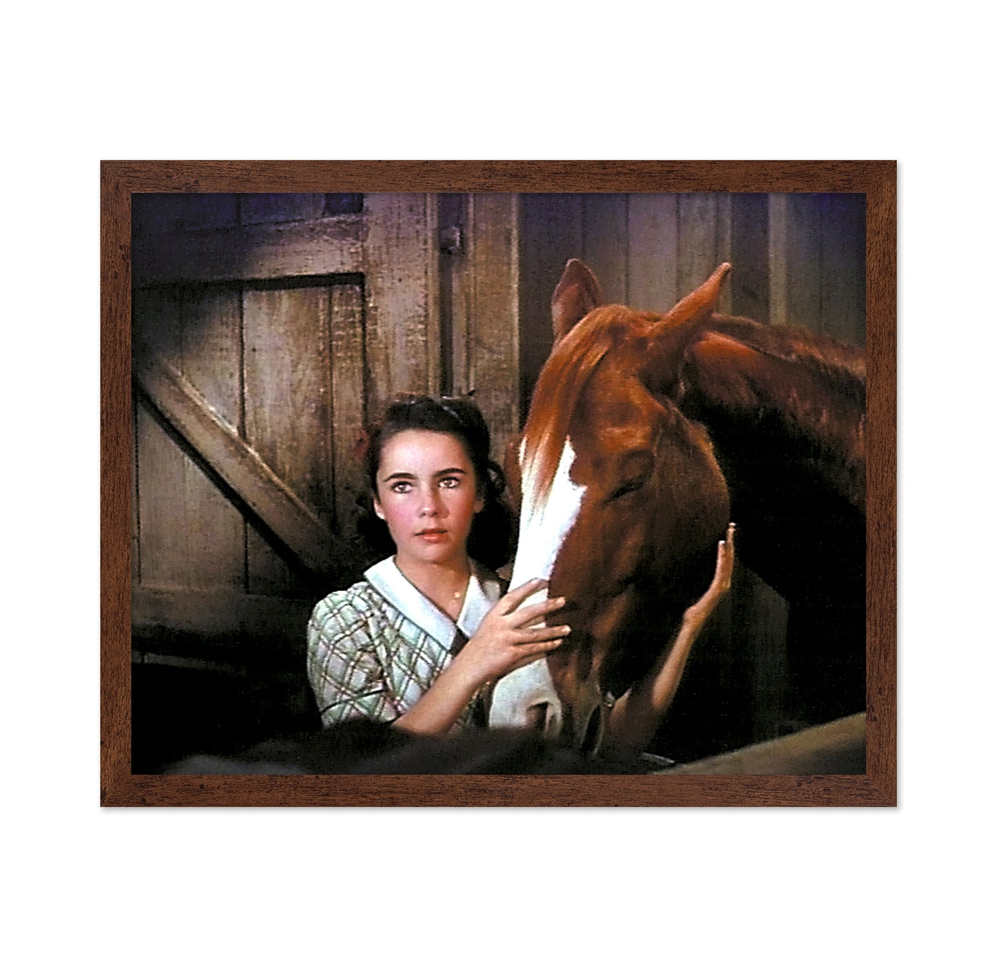 National Velvet 1944 Elizabeth Taylor