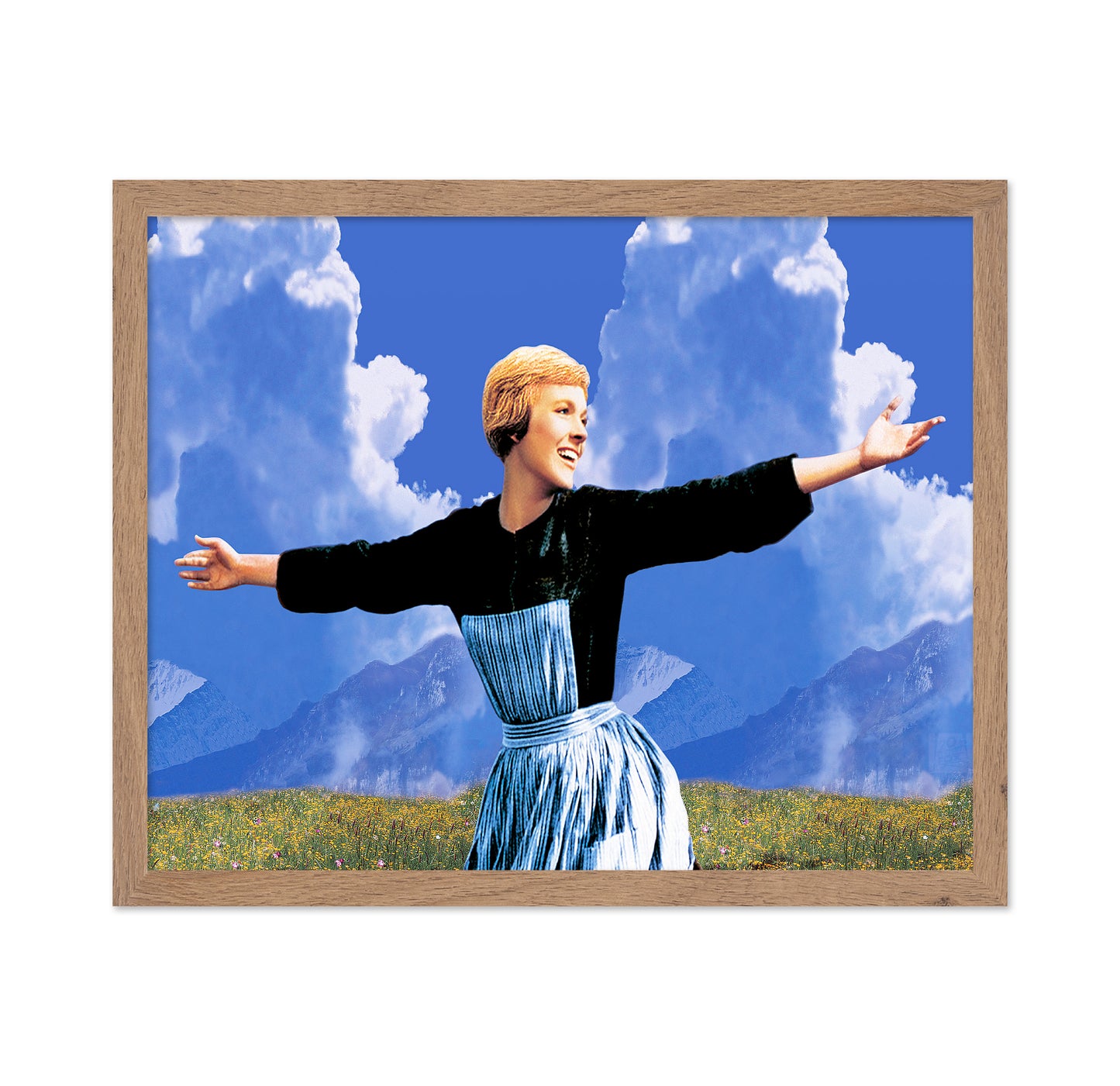 The Sound of Music 1965 Julie Andrews No8