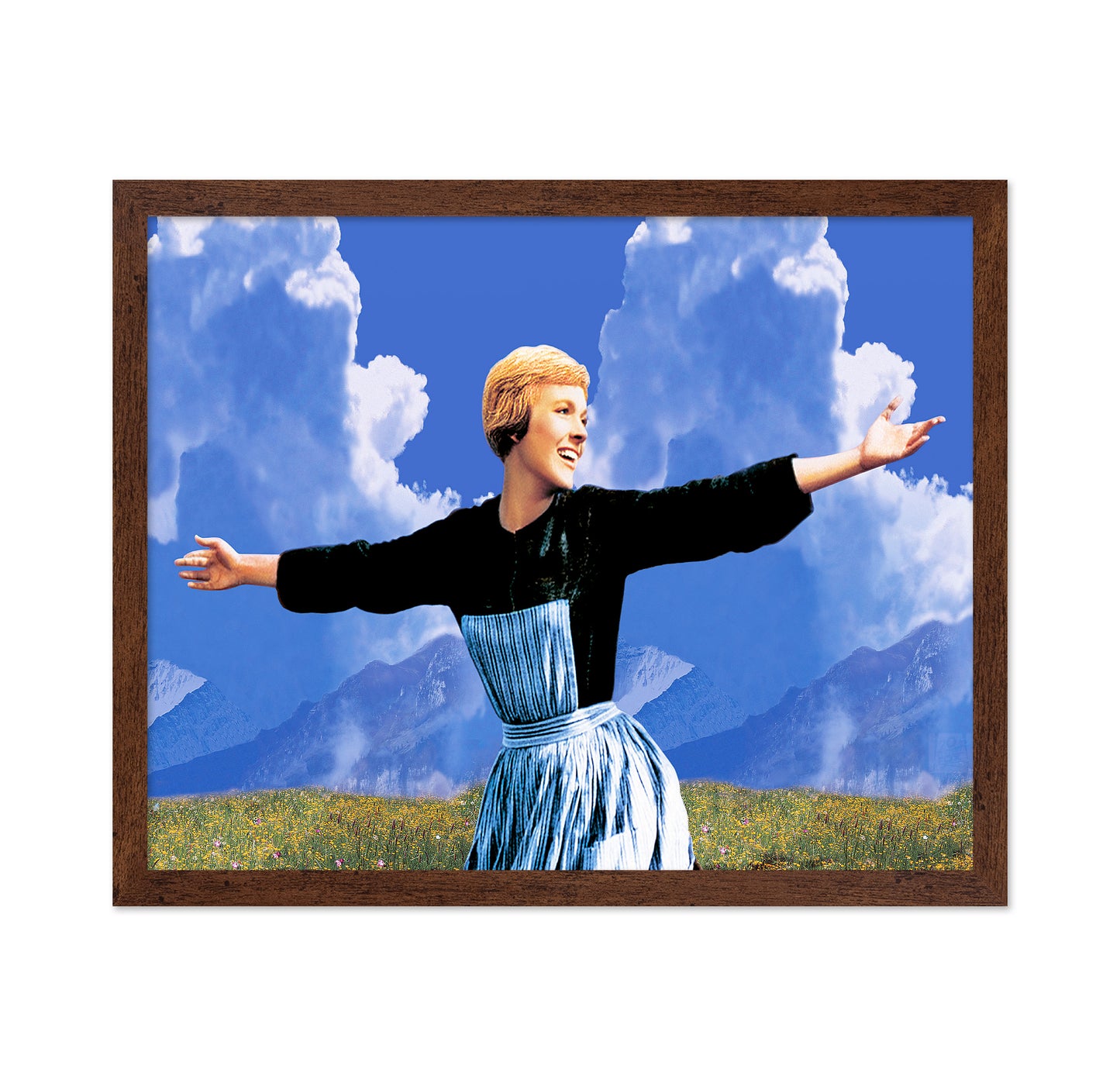 The Sound of Music 1965 Julie Andrews No8