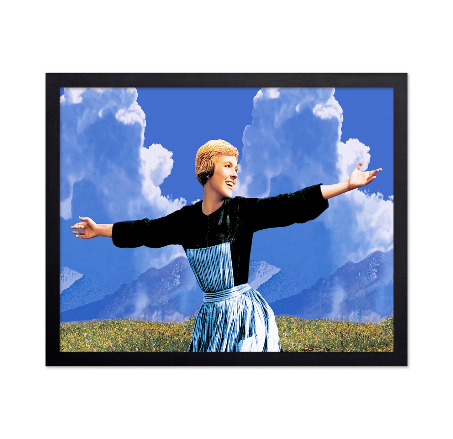 The Sound of Music 1965 Julie Andrews No8