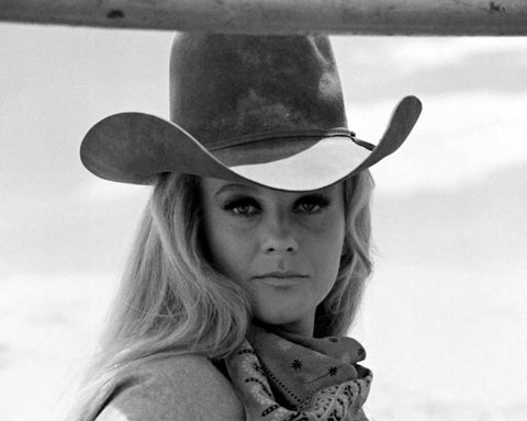 The Train Robbers 1972 Ann Margret No3