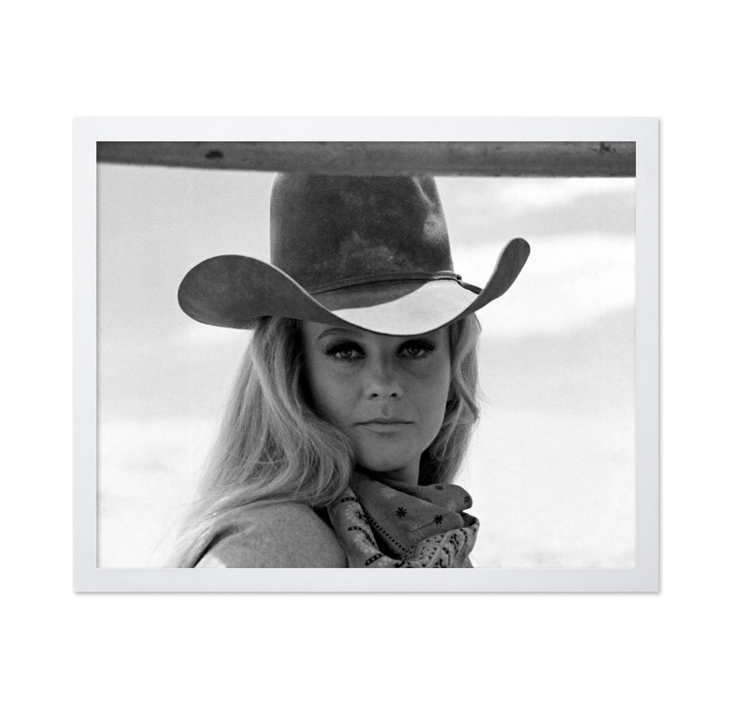 The Train Robbers 1972 Ann Margret No3